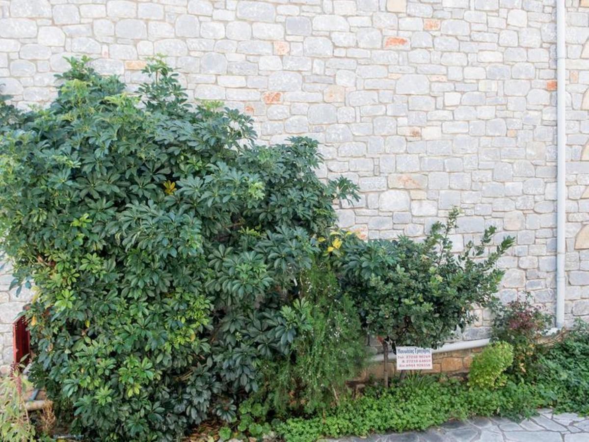 Stoúpa Manoleas Villas - Apartment 2 מראה חיצוני תמונה